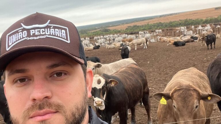 Cruzamento de Angus com Nelore para ganho de peso