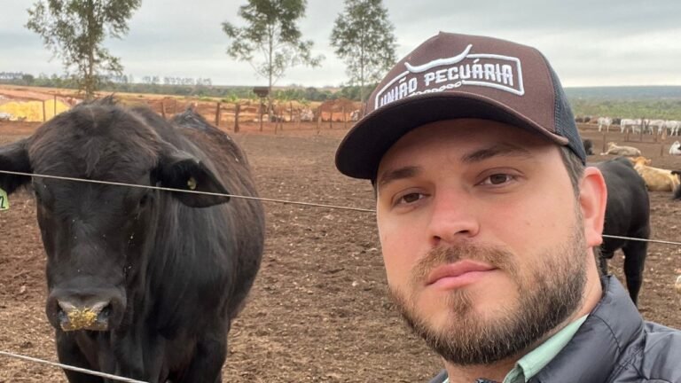 Planejamento de venda de bois para o abate