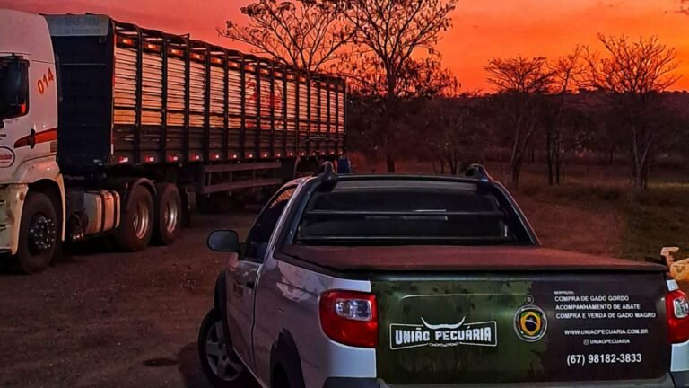 Como calcular o custo da arroba produzida