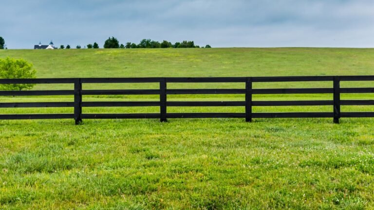 Recuperação de pastagem degradada para pecuária